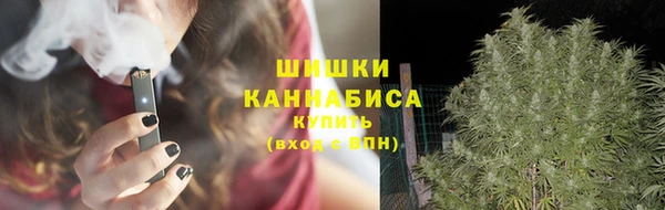 шишки Верхний Тагил