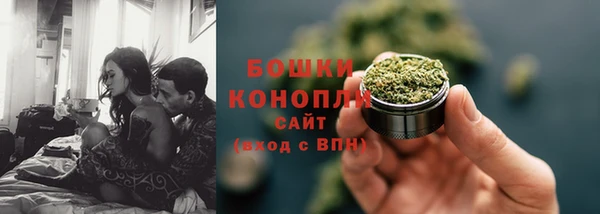 шишки Верхний Тагил