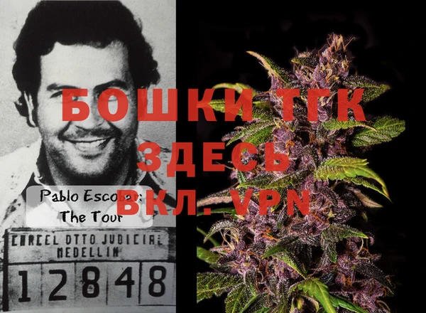 шишки Верхний Тагил