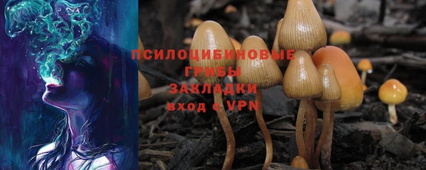 шишки Верхний Тагил