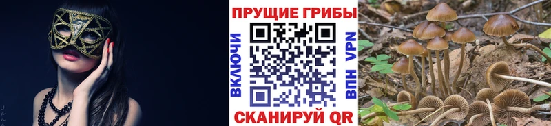 цены гидра онион Галлюциногенные грибы мухоморы это какой сайт Новоржев