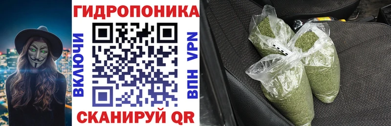 Конопля индика  Новоржев 